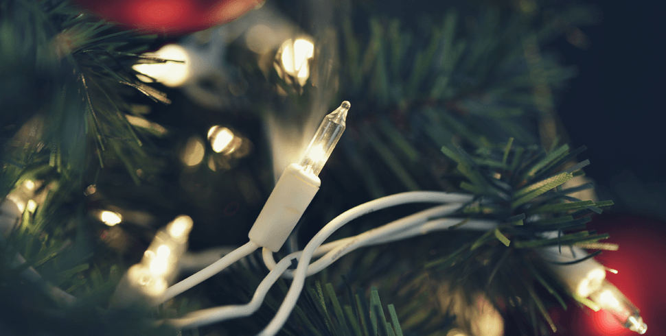 Close up of Christmas tree with lights and ornaments